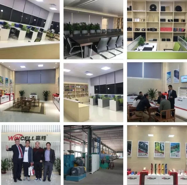 赢胜(广东)节能有限公司正式起航 赢胜(广东)节能有限公司正式起航