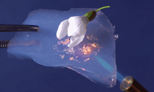 6493634d533060d20397abcf7cea7308.gif 6493634d533060d20397abcf7cea7308.gif