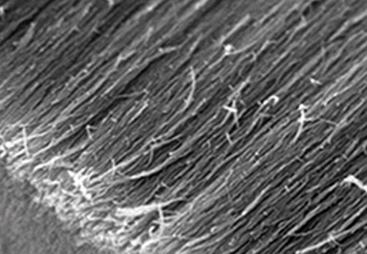 微信图片_20231220161013.png 微信图片_20231220161013.png